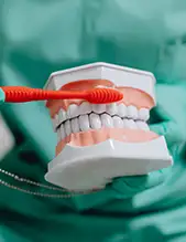 Dental hygienist displaying how to brush teeth